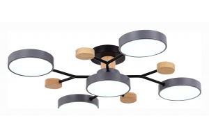 Потолочная люстра EVOLUCE Faema SLE6006-702-05 - 2