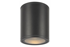 Накладной светильник Maytoni Bar O306CL-L12GF - 2