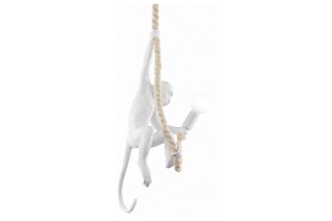 Подвесной светильник EVOLUCE Tenato SLE115103-01