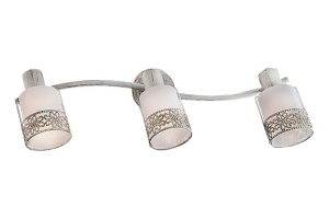 Спот Eurosvet Silvia 20025/3 белый с золотом