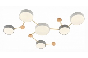 Накладной светильник EVOLUCE Dossena SLE600102-06 - 2