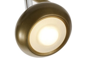 Спот TopLight Carissa TL1244Y-03SG - 2