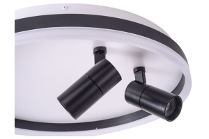 Накладной светильник Zortes Raizy ZRS.1888.01 - 2