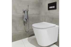 Встраиваемый смеситель с гигиеническим душем - 3