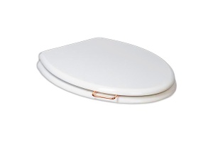 Сиденье для унитаза Boheme Puro белый с петлями золото