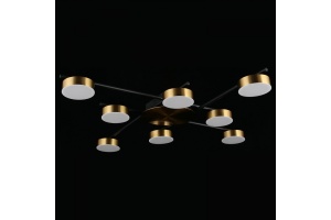 Потолочная люстра Aployt Delayn APL.042.07.56 - 3