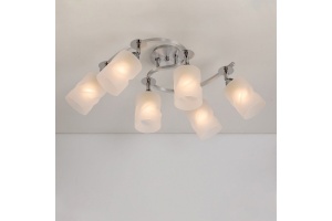 Потолочная люстра Citilux Сиерра CL119260 - 2