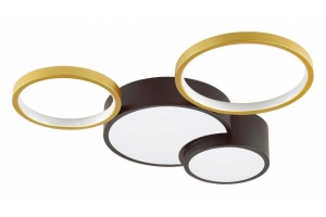 Потолочный светодиодный светильник Lumion Ledio Norbert 5255/64CL