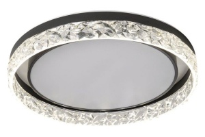 Накладной светильник Zortes Adel ZRS.1200.02 - 3