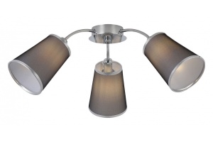 Потолочная люстра EVOLUCE Maleonte SLE103002-03