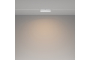 Накладной светильник Maytoni Basis Rot TR036-2-12W3K-W - 2