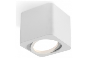 Накладной светильник Ambrella Light XS XS7805010