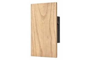 Накладной светильник Velante 404 404-701-01