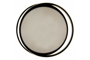 Потолочный светодиодный светильник Natali Kovaltseva 81038/5C - 2