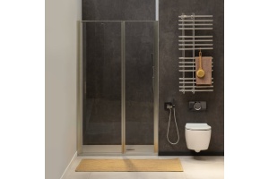 Душевая дверь в нишу Allen Brau Priority 3.31008.BA 120