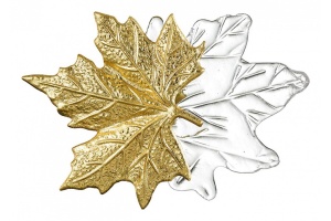 Настенный светодиодный светильник Odeon Light Eva 4371/3WL