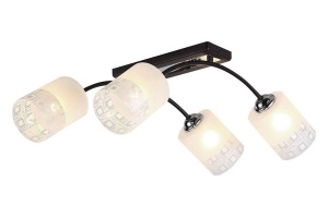 Накладной светильник Hiper Sally H010-4