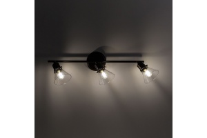 Спот Citilux Бисмарк CL564531 - 3