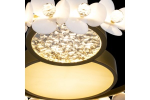 Накладной светильник Loft it Bride 10174 - 3