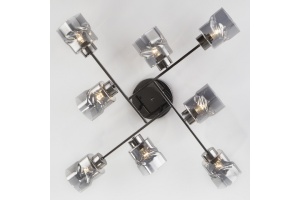 Потолочная люстра Eurosvet Hilari 30165/8 черный жемчуг - 2