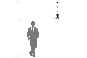 Подвесной светильник Lightstar Genni 798121 - 3