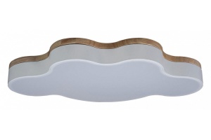 Накладной светильник Loft it Axel 4 10005/36 White