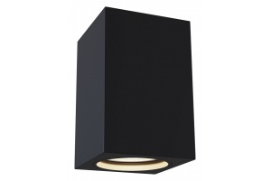 Потолочный светильник Maytoni Alfa C011CL-01B