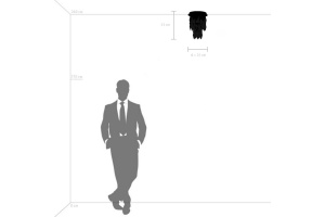 Потолочная люстра Lightstar Limpio 722063 - 3