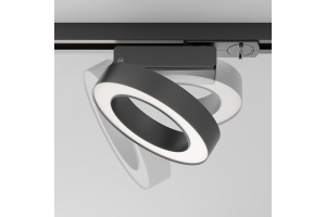 Светильник на штанге Maytoni Rim TR044-1-12W4K-B - 3