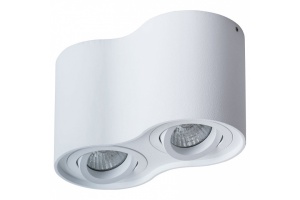 Потолочный светильник Arte Lamp Falcon A5645PL-2WH