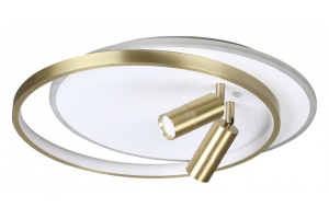 Потолочная светодиодная люстра Lumion Naoko 5603/63CL