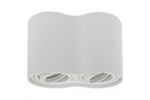 Потолочный светильник Lightstar Binoco 052026