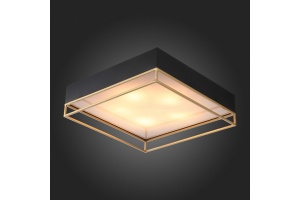 Накладной светильник ST-Luce Chodo SL1127.422.05 - 2