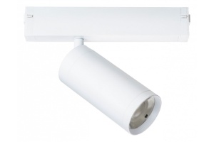 Светильник на штанге Lightstar Teta 205036