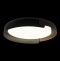 Накладной светильник Loft it Coin 10198 Black - 3