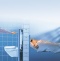 Система инсталляции для унитазов Grohe Rapid SL 38827000 5 в 1 с кнопкой смыва - 30