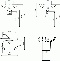 Подвесная раковина Ideal Standard Tesi  T351401 - 3