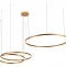 Подвесной светодиодный светильник Loft IT Ring 10017/3M - 0