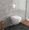 Унитаз подвесной Owl 1975 Wave TOWLT190801 - 2