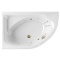 Ванна акриловая Excellent Aquaria Line 170x110 L с гидромассажем белый - бронза WAEX.ARL17.LINE.BR - 0