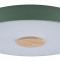 Накладной светильник Loft it Axel 2 10003/24 Green - 0