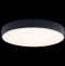 Накладной светильник Loft it Axel 1 10002/24 Black - 1