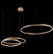 Подвесной светодиодный светильник Loft IT Ring 10017/3M - 1