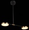 Светильник на штанге ST-Luce Farone SL1605.403.02 - 1