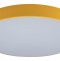 Накладной светильник Loft it Axel 1 10002/24 Yellow - 1