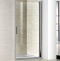Душевая дверь в нишу Good Door Pandora DR -100-C-CH ПД00064 - 0