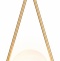 Подвесной светильник Ambrella Light TR TR2599 - 0
