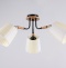Потолочная люстра Ambrella Light TR TR4731 - 1