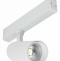 Светильник на штанге ST-Luce ST660 ST660.596.20 - 0