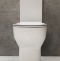 Чаша для унитаза-компакта BelBagno Vaso BB127CP - 2